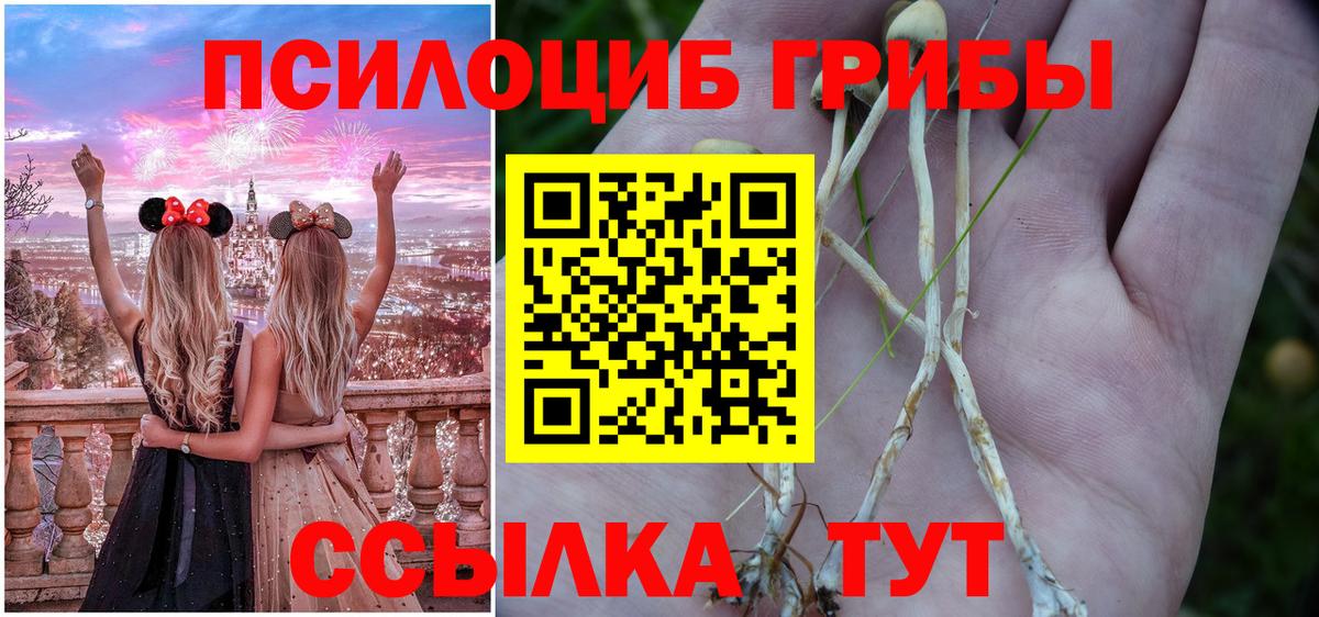 Галлюциногенные грибы Psilocybe Санкт-Петербург